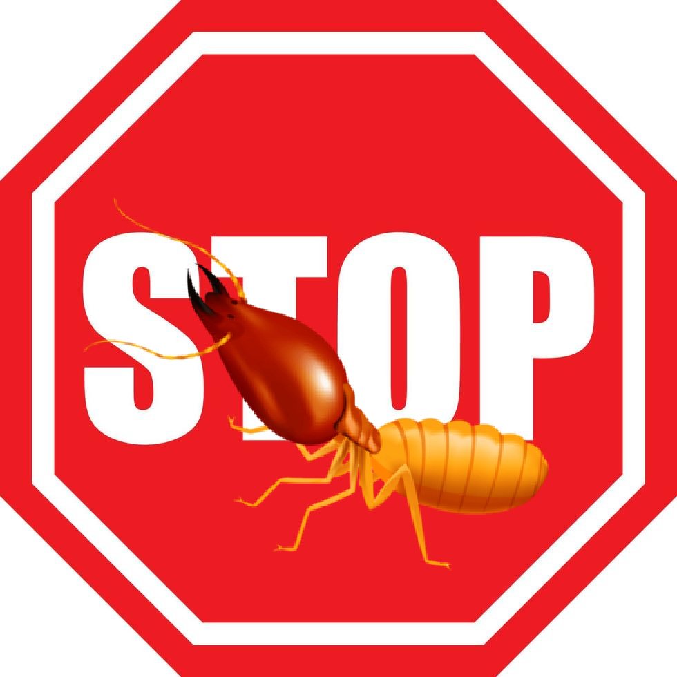 Termites Archives - California Termite and Pest Control
