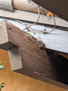 termite damage