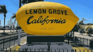 Lemon Grove Termite Control