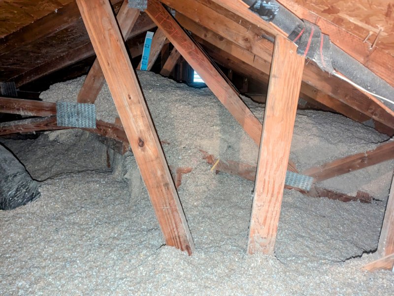 termite inspections