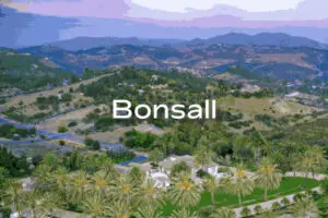 Bonsall Termite Control