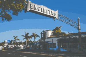 Encinitas California termite control