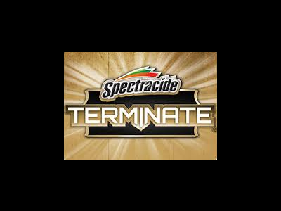 DIY Termite Treatment