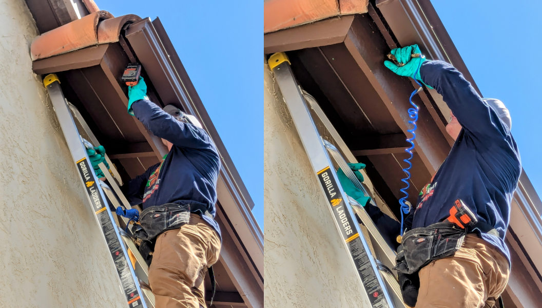 Local Treatments - California Termite and Pest Control