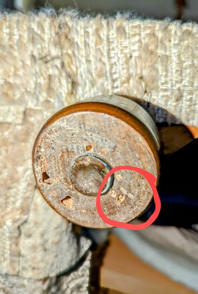 termite inspections