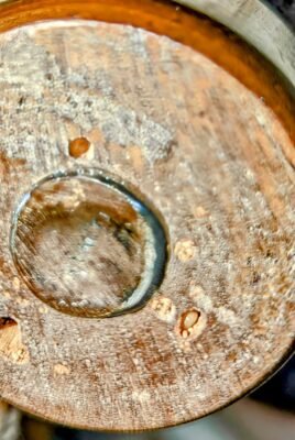 termite inspections