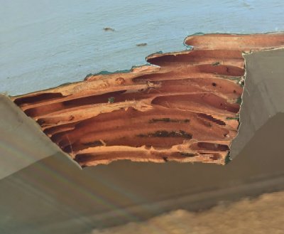 subterranean termite control