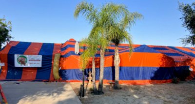 termite tenting in San Diego