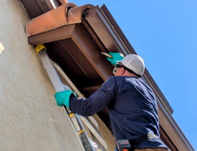 termite spot treatments