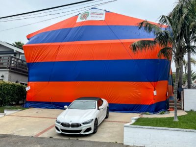 termite fumigation