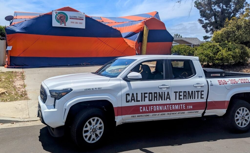 termite fumigation