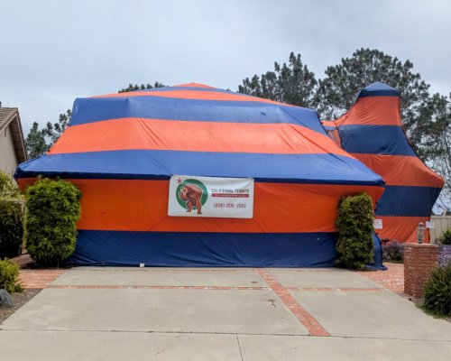 termite tenting