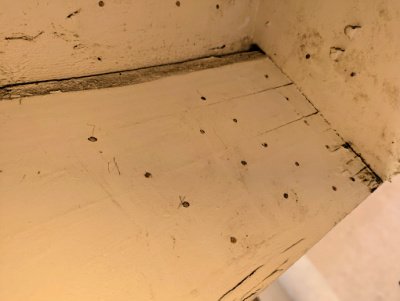 termite local treatments