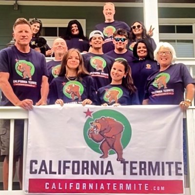 termite company 
