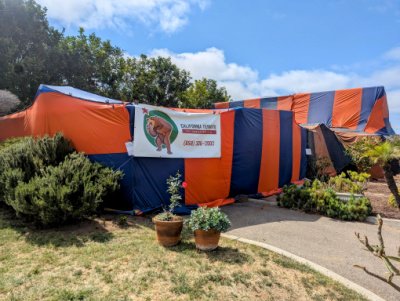 termite tenting