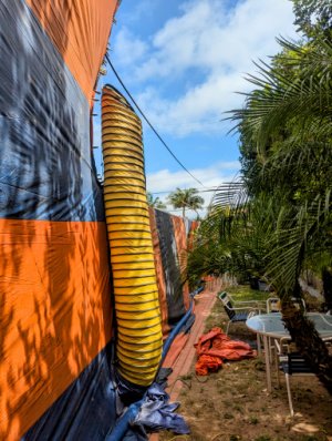termite fumigation