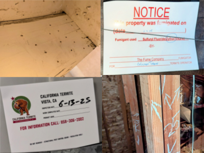 Termite inspections