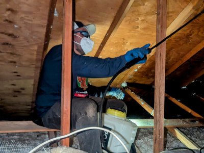 Termite Preventatives