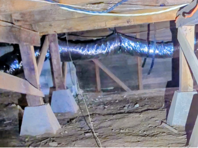 termite inspections