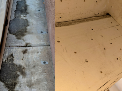 termite inspections