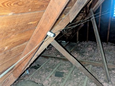 termite inspections