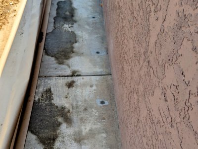 subterranean termite control