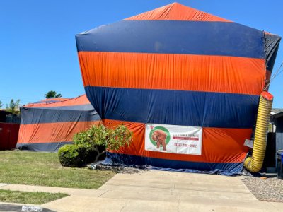 termite fumigation