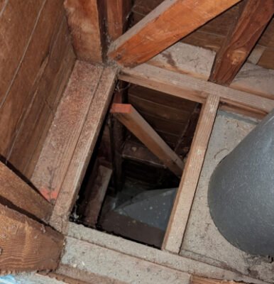 termite inspections