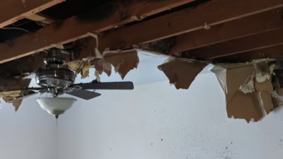 termite inspections