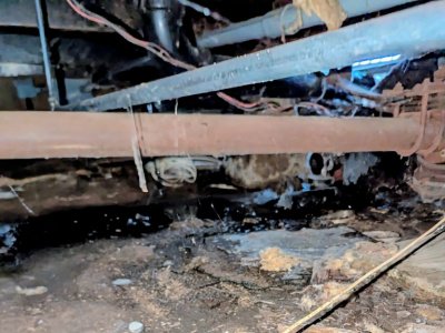 termite inspections