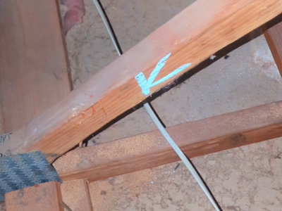 termite inspections