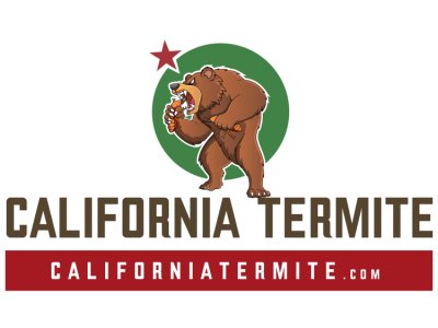 termite control
