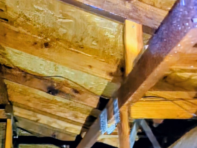 termite preventative