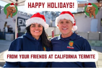 termite control company