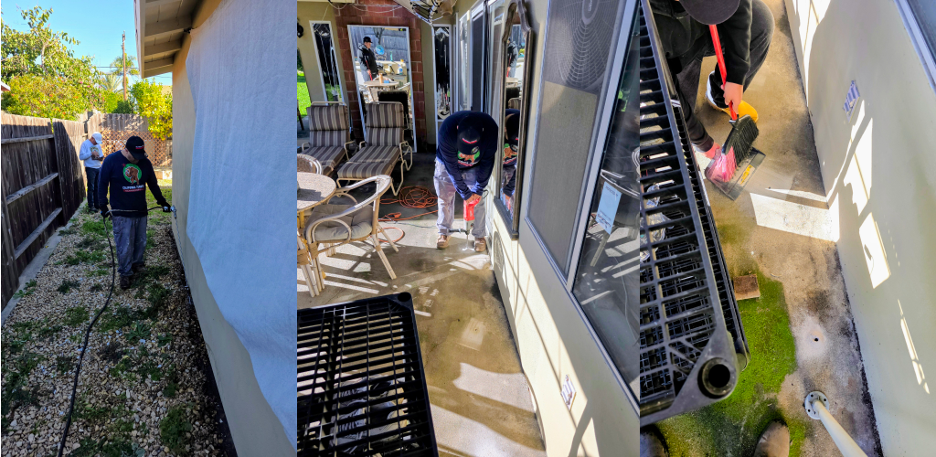 subterranean termites