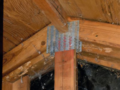 Termite inspections