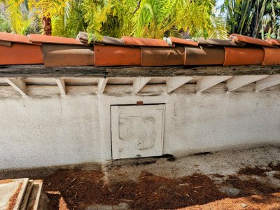 termite inspections