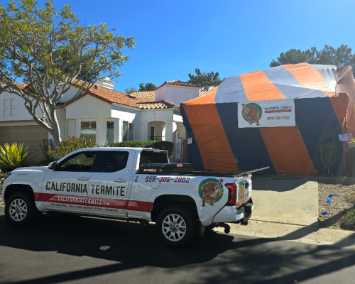 Ocean Hills Oceanside