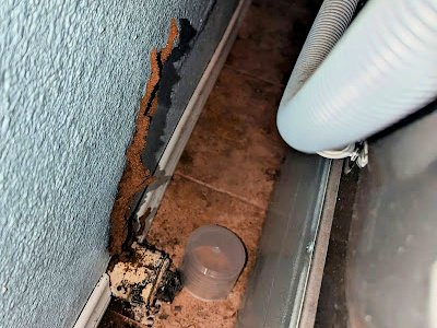 subterranean termite control