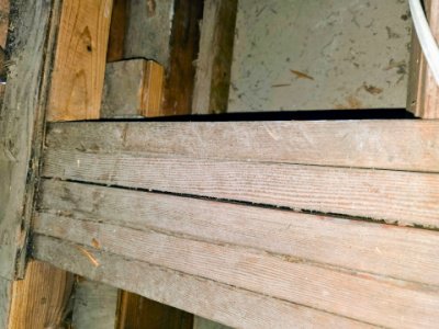 termite local treatments