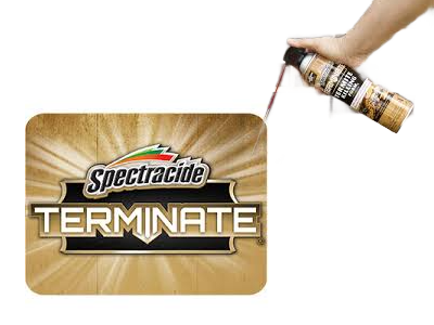 termite local treatments