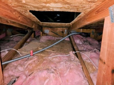 termite inspections