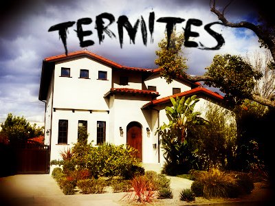 termite control