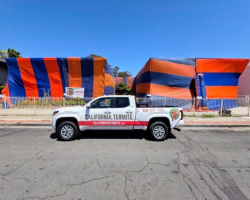termite tenting