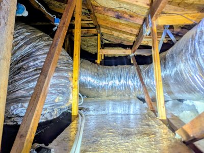 termite inspections