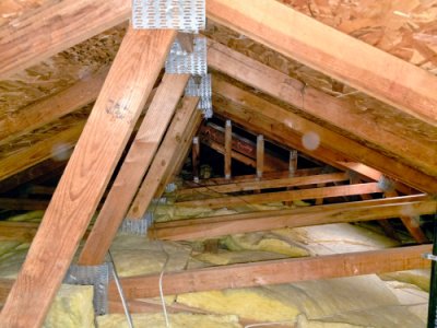termite preventatives