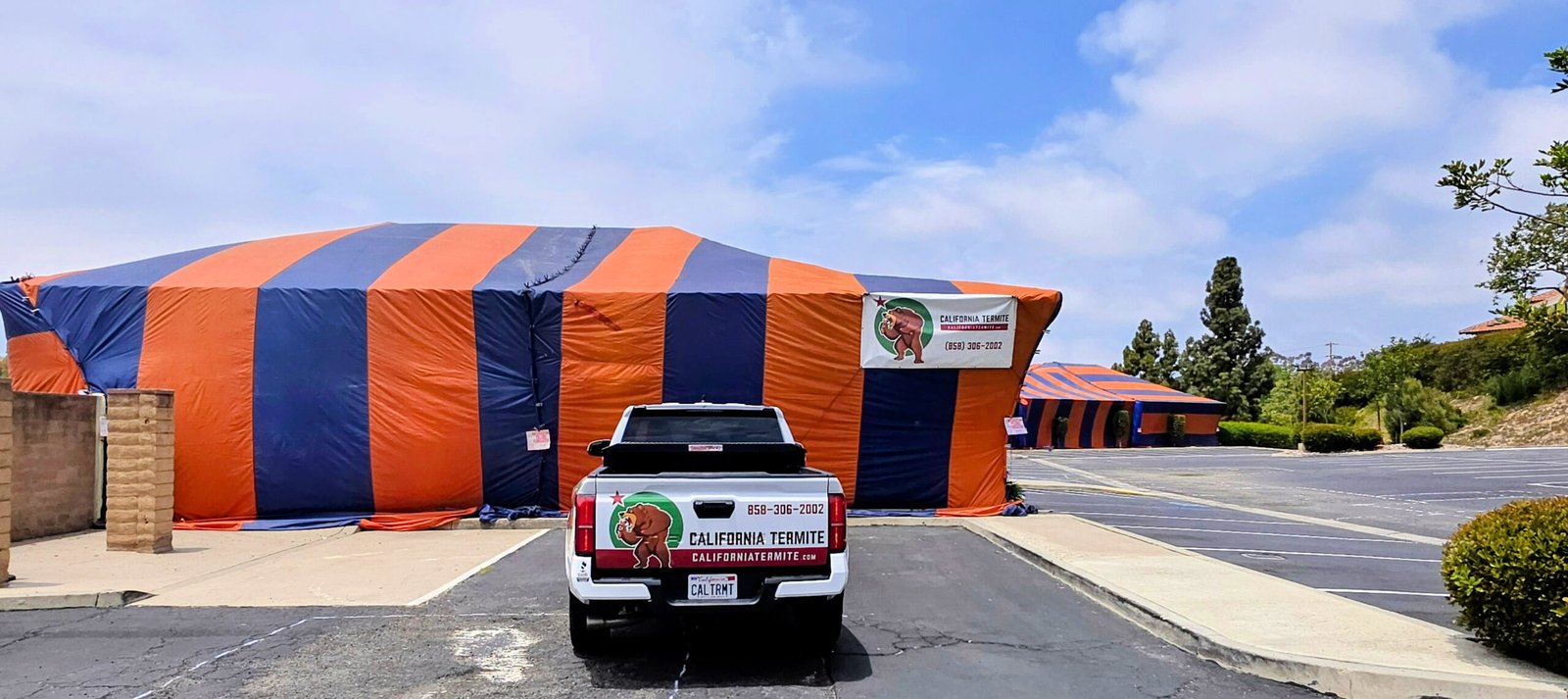termite tenting