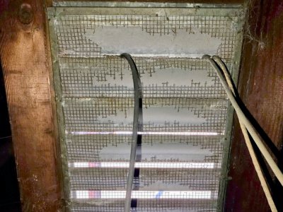 termite inspections