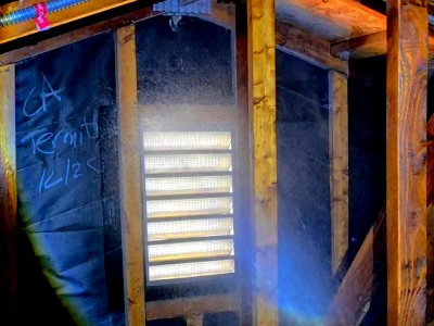 termite preventatives