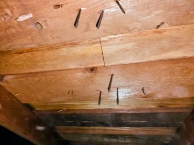 termite inspections